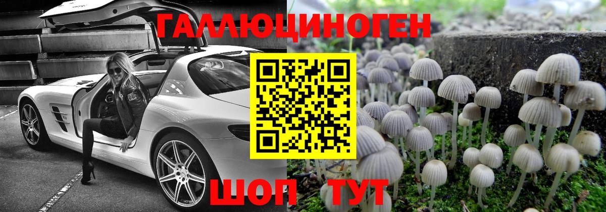 Псилоцибиновые грибы Psilocybe  Галлюциногенные грибы Psilocybe  Усть-Джегута  Вход с VPN 